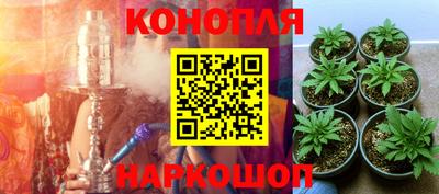 PSILOCYBIN Малоярославец