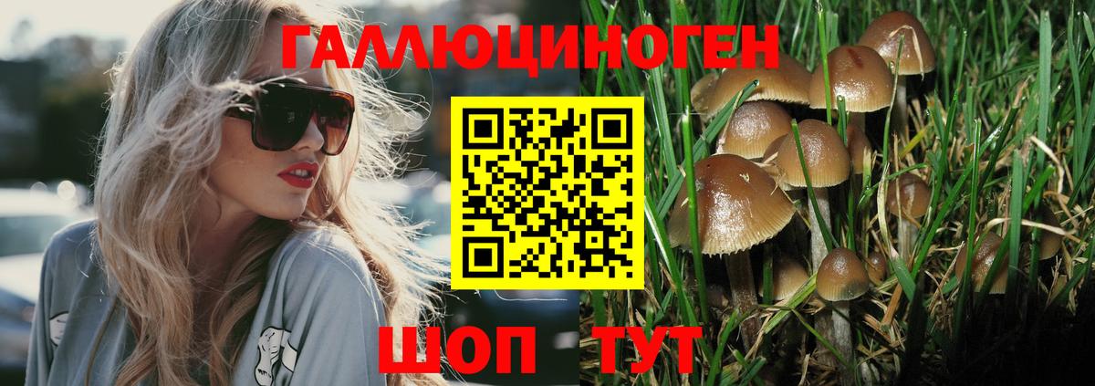 Галлюциногенные грибы прущие грибы  Вход с VPN  Таганрог  Галлюциногенные грибы Magic Shrooms 
