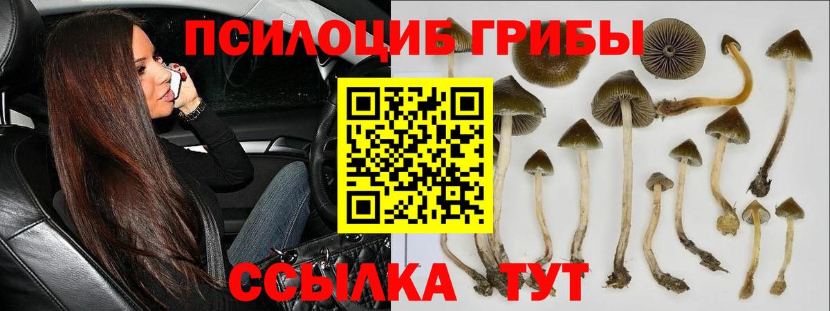 Галлюциногенные грибы MAGIC MUSHROOMS Таганрог